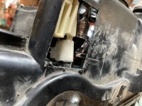 IMG_2484.jpeg