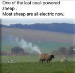 1752427489930.jpeg